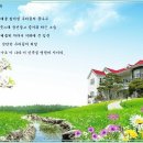 나라의 보배 이미지