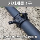 팜마트