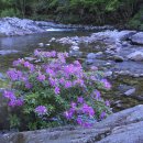 박대현농장 이미지