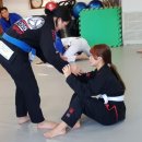 팀 스트라익 주짓수 킥복싱 합기도 이미지