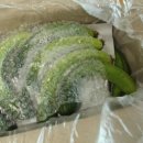 빛들농장 이미지