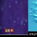 선옥 이미지