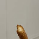 파블로 츄러스 이미지