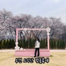 부천로354번길 | 부천 벚꽃축제 도당산 벚꽃동산 솔직 후기 및 주차 대중교통