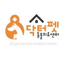 선닥터동물병원 이미지
