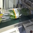 모리아팜 이미지