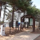 DMZ 평화의 길 10코스 이미지