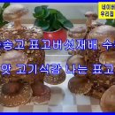 푸드공일공