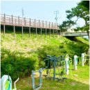 번암리 조천연꽃공원1 | 세종 연꽃 명소 재방문한 조천연꽃공원