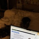 온달공인중개사 앞 | 공인중개사 36회 합격 실무교육 봉천 후기 시간표