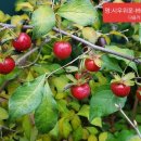 명품베스트 이미지