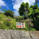 금향초옆(고가 밑) | [오키나와]백년고가 우후야, 100년 넘은 전통 가옥에서 정원과 폭포를 감상하며 먹는 식사