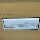 포항 구룡포 유니의 바다 카라반 1박 2일, 오션뷰 카라반, 개별 바베큐 캠핑 후기