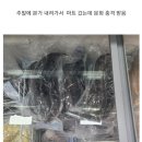 서울 촌놈들은 모르는 지금 한국 시골 상황 이미지