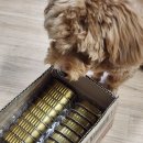 굿라이프 | 다이소 강아지영양죽 푸르미 몬스터 굿 라이프 솔직 후기!