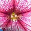 포커스사진관 네이버블로그