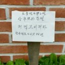 뽀바 이미지
