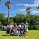 행운기사님식당 | 제주도 솔라티 렌트, 기사 포함 제주도 투어란?