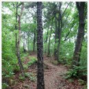 수원-0865 | [오토캠핑]행주산성의 권율장군도 감골농원에서 우중캠핑 즐기고 싶을걸...