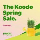 🔥 [TELUS / KOODO] 밴쿠버 최저가 통신딜 | $23.75부터 | CAN-US 로밍 포함 이미지