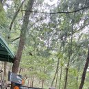 우면산6-10 이미지