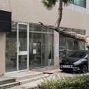 거제헤어숍 | 거제 고현 염색 잘하는 곳 추천｜애쉬매트브라운으로 분위기 확 바뀐 후기