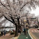 은파호수공원 9-5 이미지