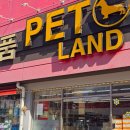 원미구 도약로 239 이미지