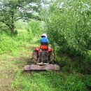 보신농장 이미지