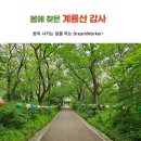 쌍봉사 사적비 | 봄에 찾은 계룡산 갑사