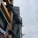 유니팜서울약국 | W17.예복(2):: &lt;빌리언즈 테일러&gt; 위치, 외관, 주차장 | 견적 공유