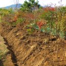 상부농장 이미지