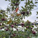 태희농장 이미지