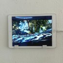 리얼엠(REAL M) | 더리얼 콜렉티브 The REAL Collective <Topology of Growth>