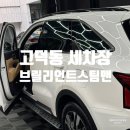 (주)준우약품 | 평택 고덕동 세차장 캠핑 후 완벽한 스팀세차 브릴리언트스팀맨