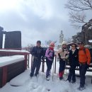 산들바람 이미지