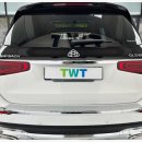 더웨이(TWT) 이미지