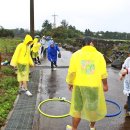 간세다리 이미지