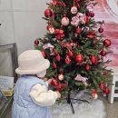 ARTHALL 마당 | 울산 아기랑 카페, 성안동 카페 마당 흑임자라떼 맛집