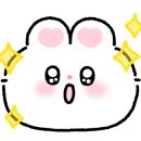 광주전남대오렌즈 이미지