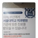 튼튼치과의원 이미지