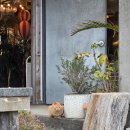 서동도서관 내 | 혼자 2박3일 제주도 남동쪽 여행 day(2) - 나의 지독한 고양이 사랑 🐱