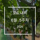 가온적산