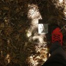 마석1리 이미지