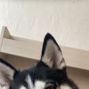 박진농장 이미지