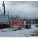 대죽목장 Daum카페