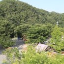 새막골 캠프 이미지