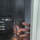 여월늘해랑 이미지