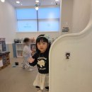 맘맘이야 이미지