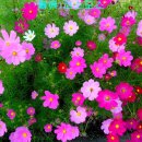 좋은친구 이미지